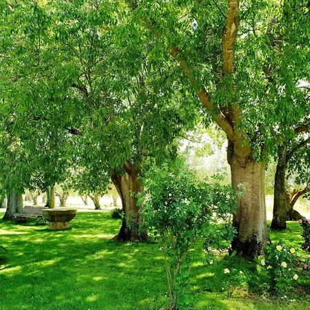 Con Jardin Privado! Σαλέ Navata